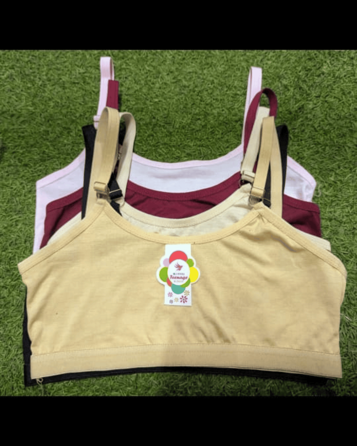 Assorted Women's Comfort Bras